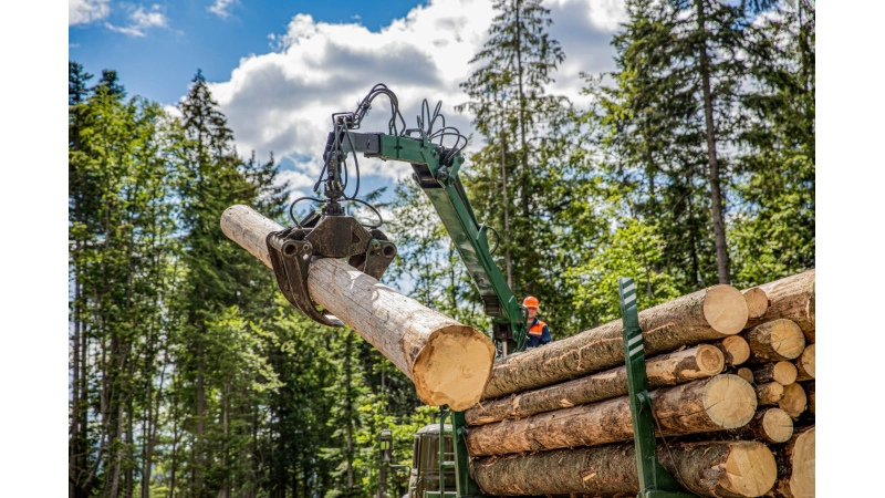 Czy panele laminowane są ekologiczne? - Fakty i mity  - 2.j