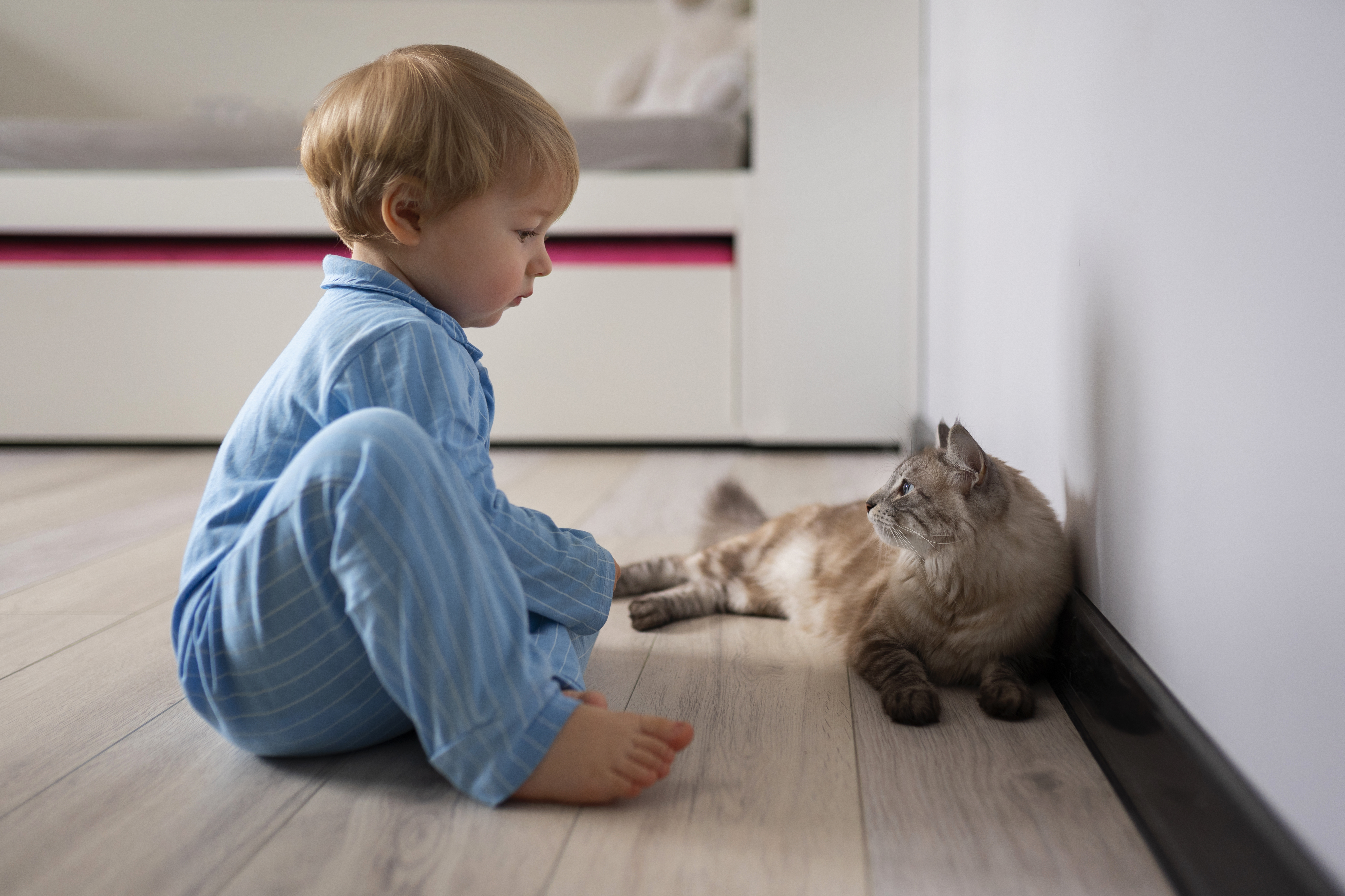 kot na podłodze z dzieckiem