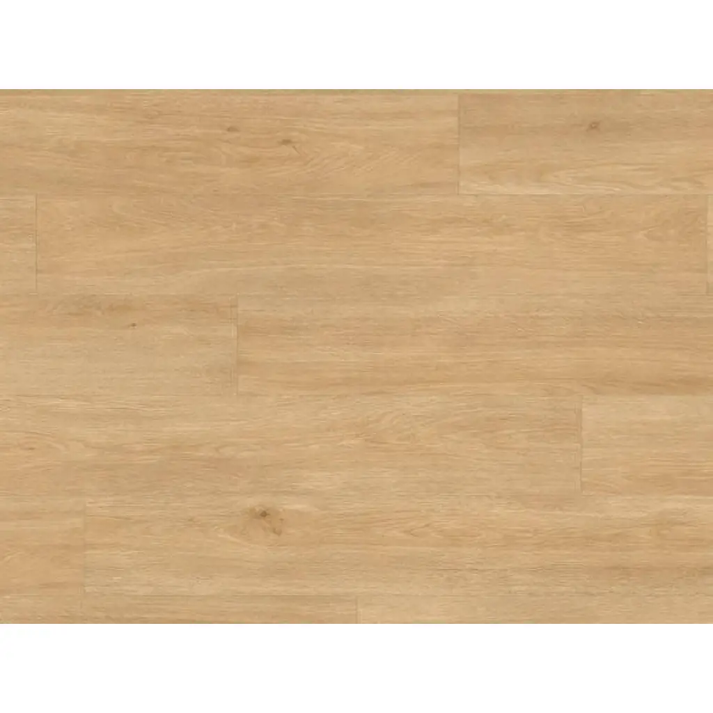 Panele Winylowe LVT Dąb Jedwabny Ciepły Naturalny BACL40130 Klasa 32 5 mm TAK