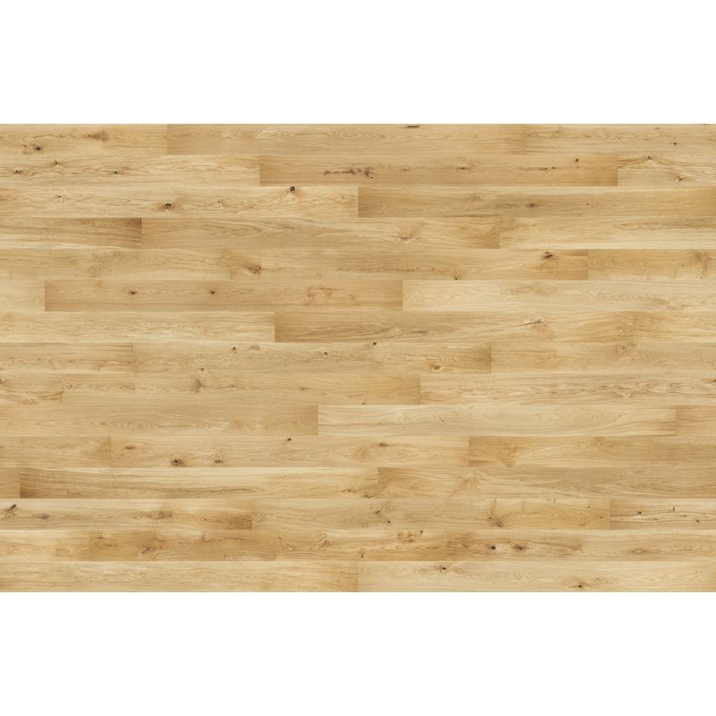 Dąb Cheer 1WG000816 14 mm