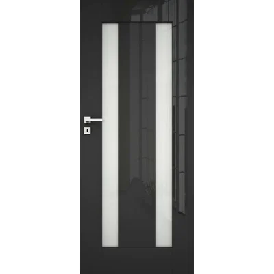 Drzwi ILIS 1