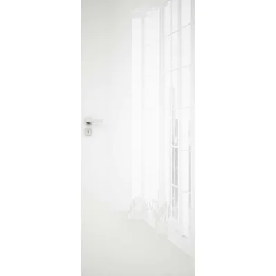 Drzwi SILIA 10