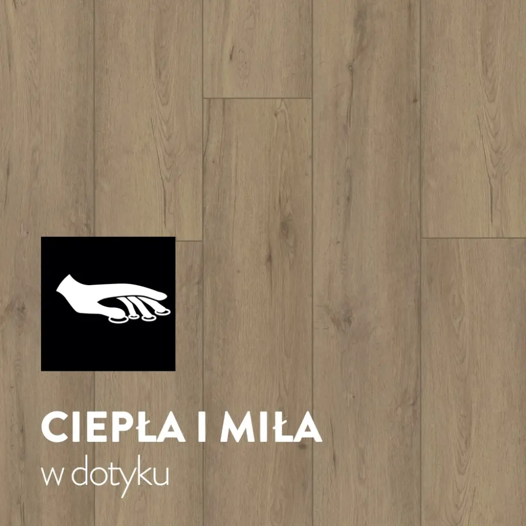 Panele Winylowe LVT Dąb Belford CA146 Klasa 33 5 mm TAK