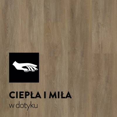Panele Winylowe LVT Dąb Sierra CA154 Klasa 33 5 mm