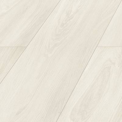 Panele podłogowe Dąb Daisy D4585 AC6 10 mm, 14FQ4585