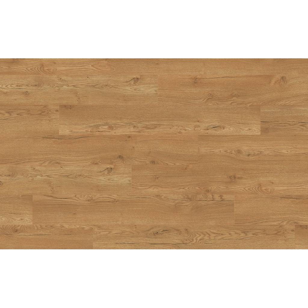 Panele Podłogowe Dąb Olchon Miodowy EPL144 AC4 8 mm