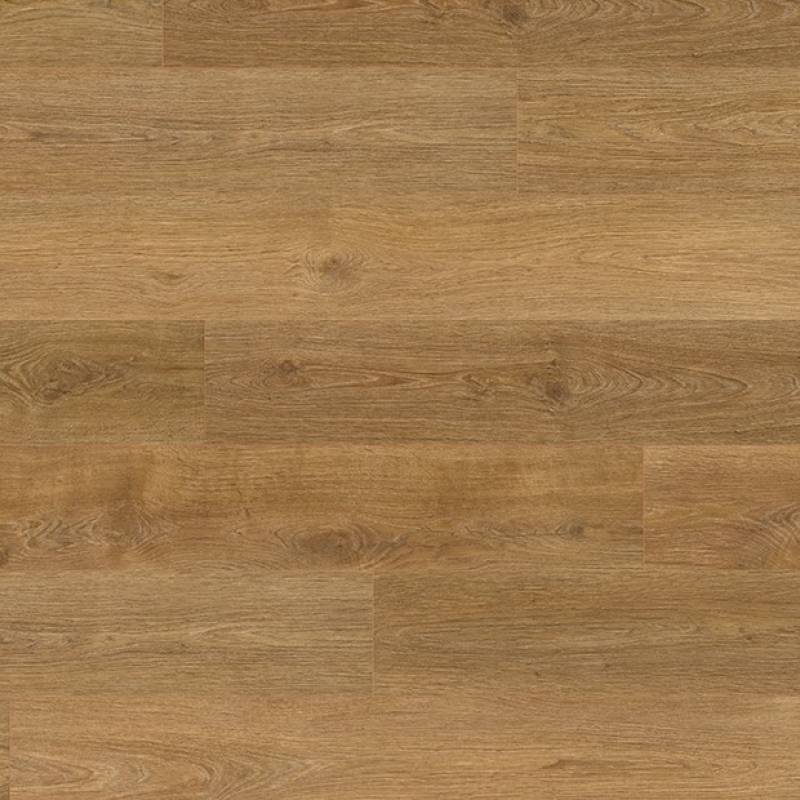 Panele Podłogowe Dąb Punata EPL131 AC5 8 mm