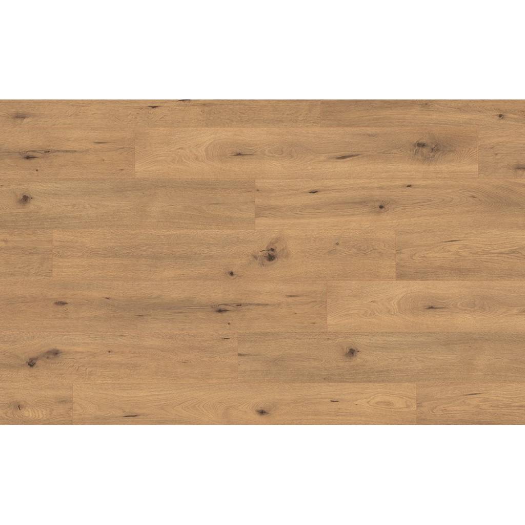 Panele Podłogowe Dąb Dziki Naturalny EPL182 AC5 10 mm