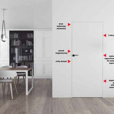 Drzwi Sara Eco 2 bezprzylgowe ukryte lewe 80 cm otwierane na zewnątrz, 5901316049866