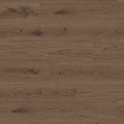 Panele Winylowe SPC LVT Delicate Oak Brown 36020006 Klasa 33 5 mm