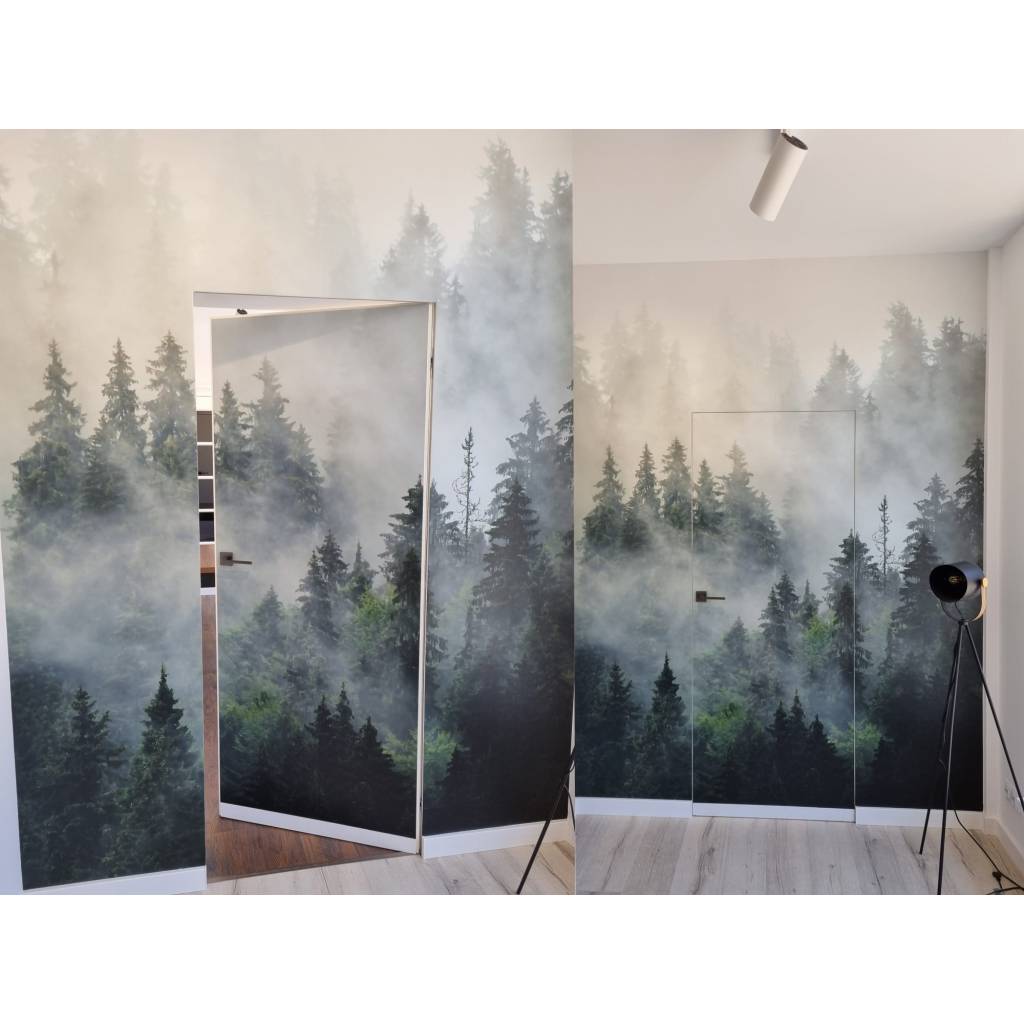 Drzwi ukryte + ościeżnica Sara Color komplet prawe, 70 cm otwierane na zewnątrz, TK01SS1107B