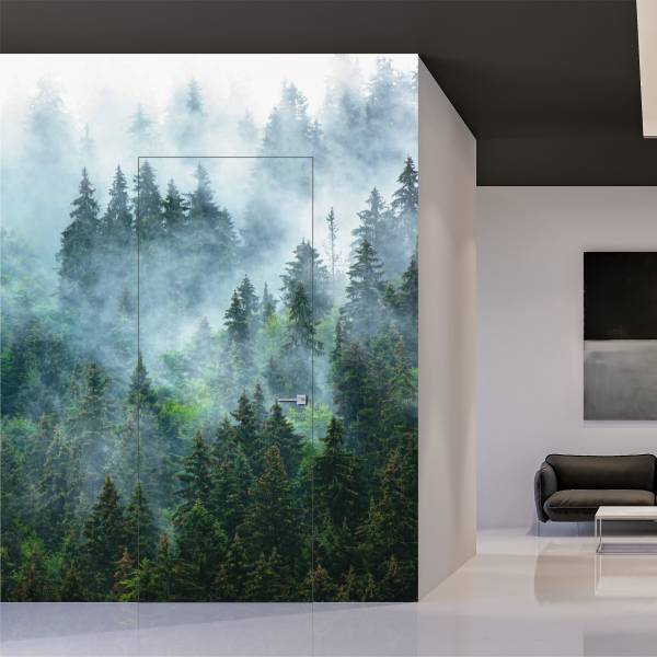 Drzwi ukryte + ościeżnica Sara Color komplet prawe, 80 cm otwierane na zewnątrz, TK01SS1108B