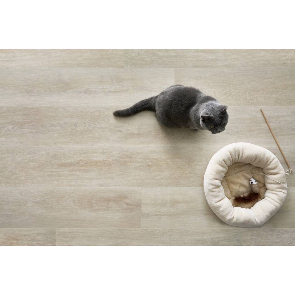 Panele Winylowe LVT Dąb Alba CLE 41802 Klasa 33 4 mm