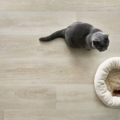 Panele Winylowe LVT Dąb Alba CLE 41802 Klasa 33 4 mm
