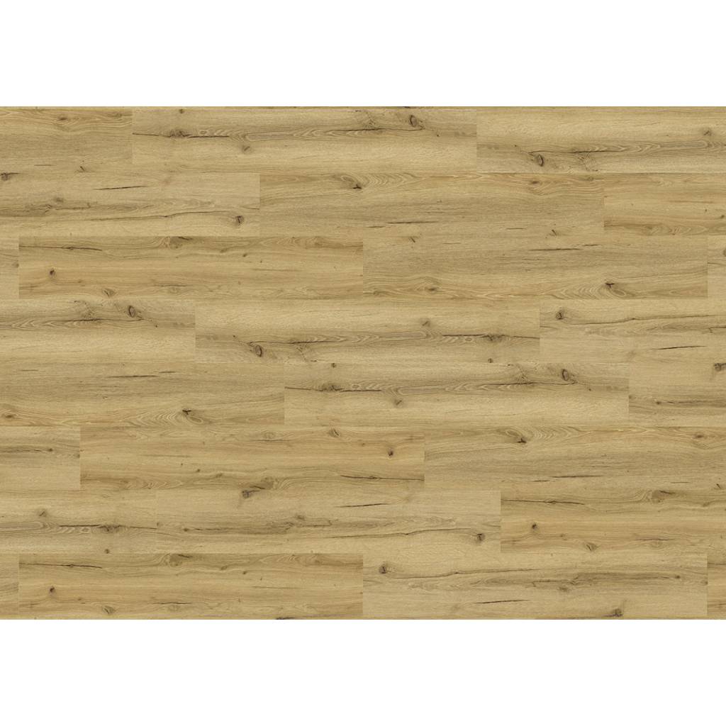 Panele Winylowe SPC LVT Dąb Erica 80101 Klasa 33 5.5 mm