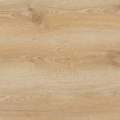 Panele Podłogowe Trend Oak PRK501 AC5 8 mm