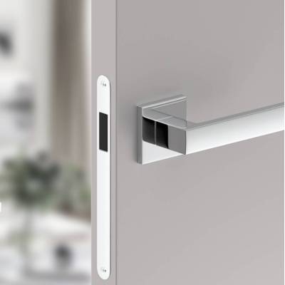 Drzwi ukryte + ościeżnica Sara Color komplet lewe, 60 cm otwierane do wewnątrz, TK01SS2206B