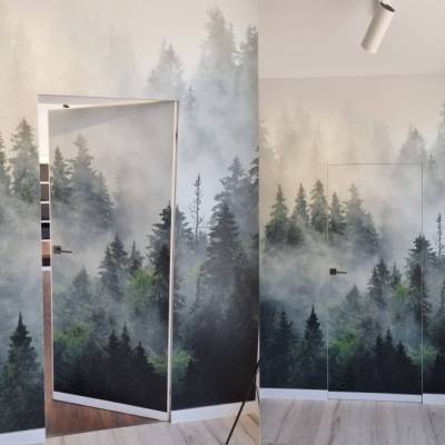 Drzwi ukryte + ościeżnica Sara Color komplet lewe, 60 cm otwierane do wewnątrz, TK01SS2206B