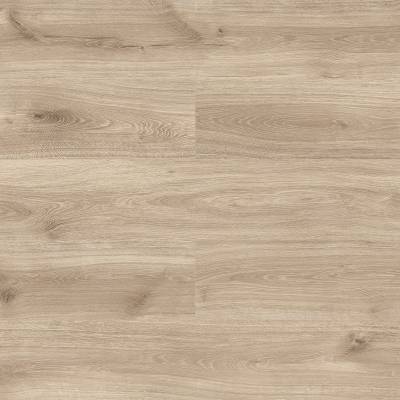 Panele podłogowe Dąb Wenecja D6201 AC5 8 mm, PBTE6201