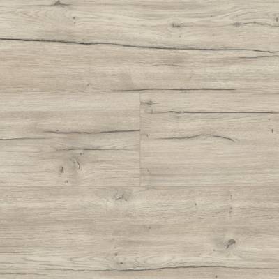 Panele podłogowe Dąb Festiwal D40234 AC5 8 mm, 84MQ40234