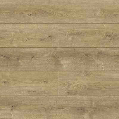 Panele podłogowe Dąb Musical D40154 AC5 8 mm, 84MQ40154