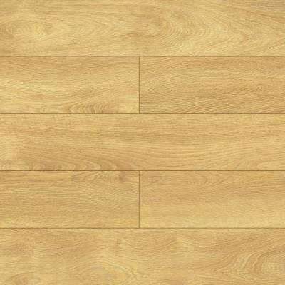 Panele Podłogowe Dąb Limoncello D40114 AC5 8 mm, AUDO40114