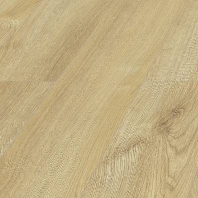 Panele Podłogowe Dąb Honey D40144 AC5 8 mm, AUDO40144
