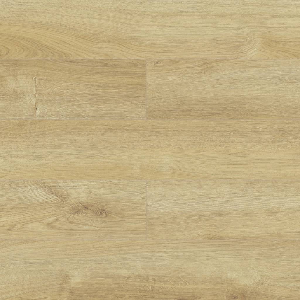 Panele Podłogowe Dąb Honey D40144 AC5 8 mm, AUDO40144