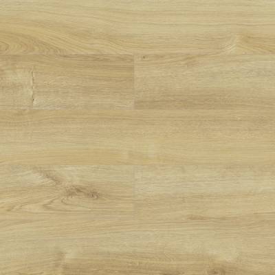 Panele Podłogowe Dąb Honey D40144 AC5 8 mm, AUDO40144