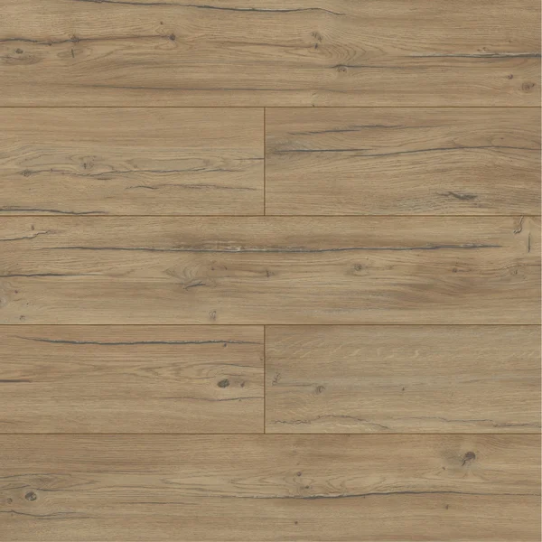 Panele podłogowe Dąb Condor Ciemny 8 mm AC5, AUVO40254 - 2