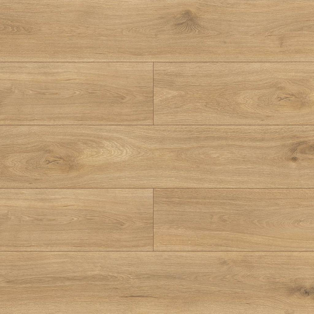 Panele podłogowe Dąb di Trevi D4917 AC5 8 mm, PBTE4917