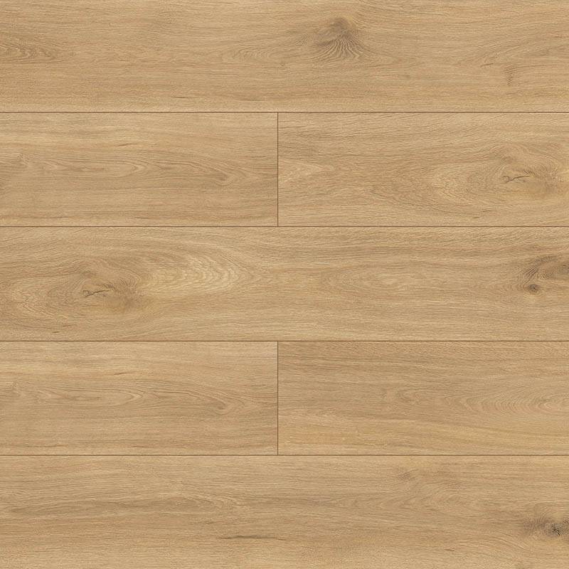 Panele podłogowe Dąb di Trevi D4917 AC5 8 mm, PBTE4917