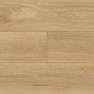 Panele podłogowe Dąb di Trevi D4917 AC5 8 mm, PBTE4917
