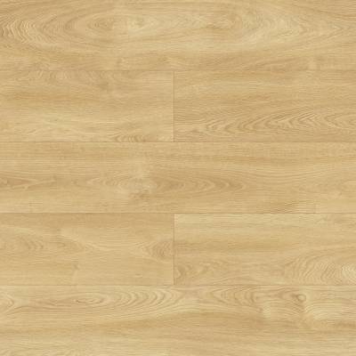 Panele Podłogowe Dąb Dominikana D40104 AC5 8 mm, PBHO40104