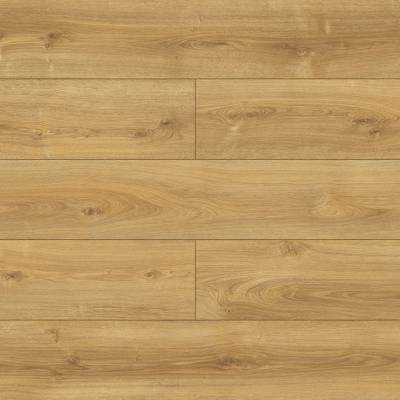 Panele Podłogowe Dąb Tajlandia D40164 AC5 8 mm, PBHO40164