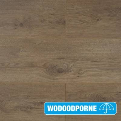 Panele Podłogowe Dąb Parana 900493 AC5 8 mm