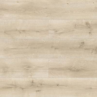Panele Podłogowe Dąb Loretta D4567 AC5 10 mm, 10LGD4567