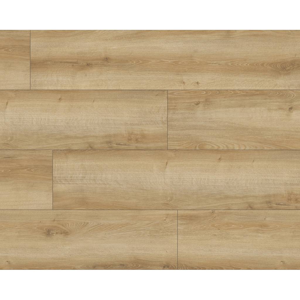 Panele Podłogowe Dąb Durango 62494 AC5 8 mm