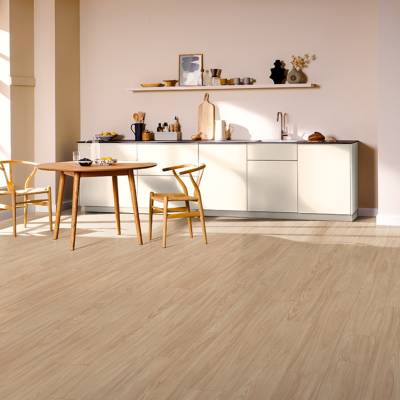 Akacja Sheffield naturalna EL1004 AC4 8 mm, 1667291