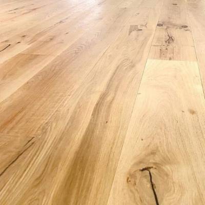 Dąb Grecki 503116018425 15 mm