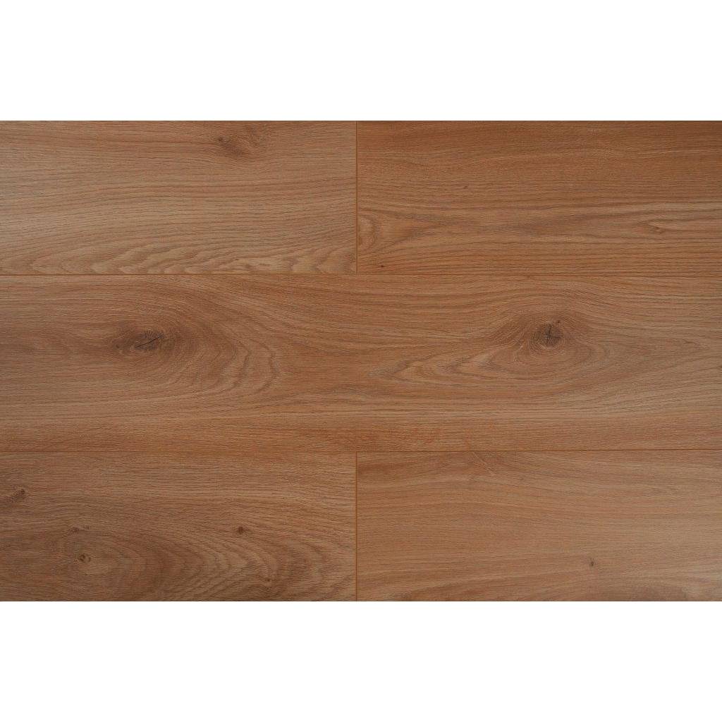 Panele podłogowe Dąb Thorberg BWP854761 AC4 8 mm