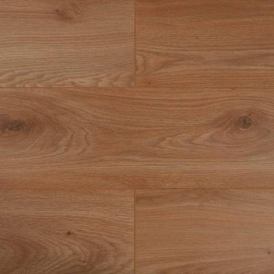 Panele podłogowe Dąb Thorberg BWP854761 AC4 8 mm
