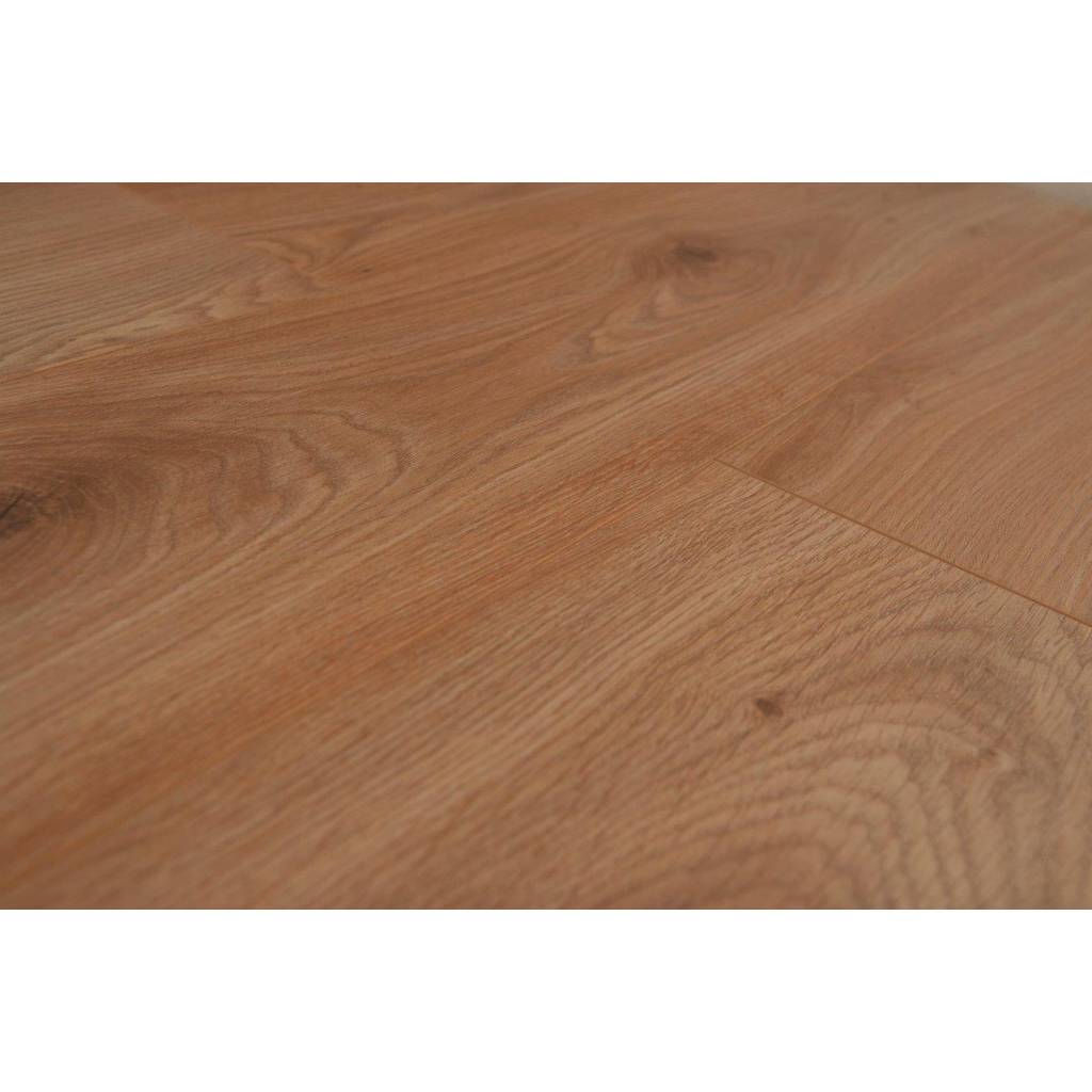 Panele podłogowe Dąb Thorberg BWP854761 AC4 8 mm