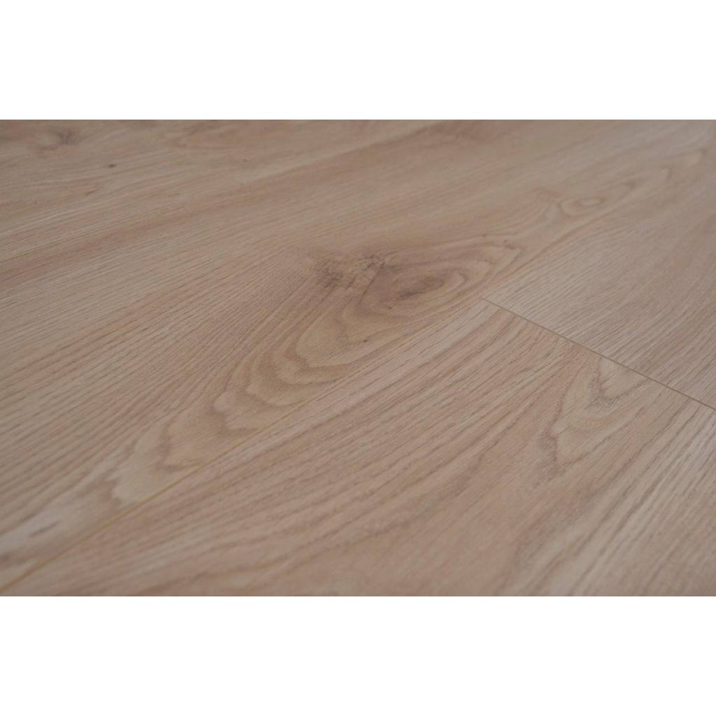 Panele podłogowe Dąb Rodenbach BWP854671 AC4 8 mm