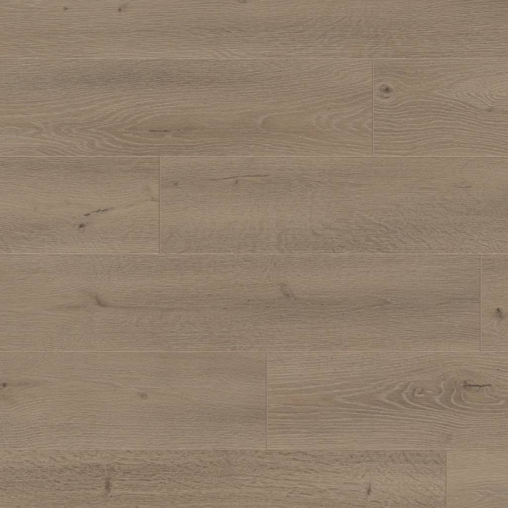 Panele podłogowe Dąb Amazon 6447 AC4 8 mm, 400092143