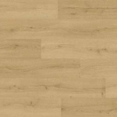 Panele winylowe SPC LVT z podkładem Dąb Szczotkowany Miodowy Klasa 33 6 mm, AVMPU40318