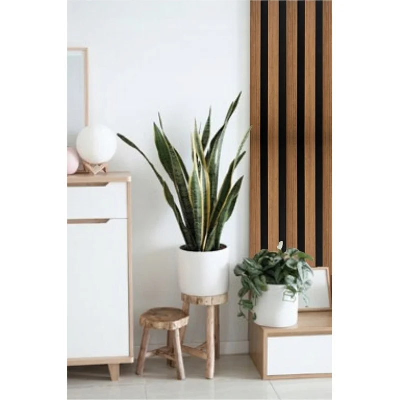 Lamele Akustyczne Listwa Dąb Naturalny L 248A Teak Lewa, 12