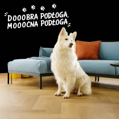 Panele winylowe SPC LVT Jodełka Dąb Empire CAS 226 5 mm, 5905167857106