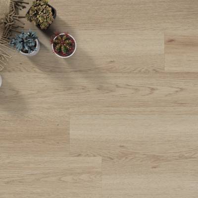Panele Winylowe SPC LVT Dąb Yankee CA 153 Klasa 33 5 mm, 5905167856376