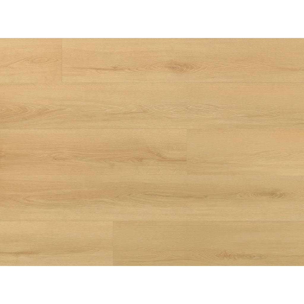Panele Winylowe SPC LVT Dąb Virgin CAS 227 Klasa 33 5 mm, 5905167856475